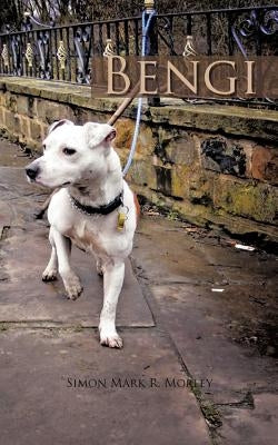 Bengi by Morley, Simon Mark R.