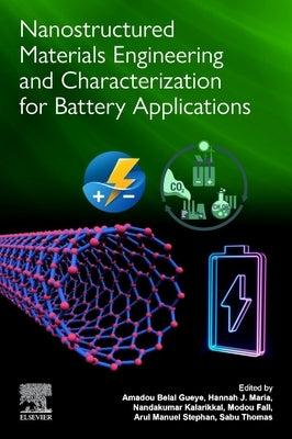 Nanostructured Materials Engineering and Characterization for Battery Applications by Gueye, Amadou Belal