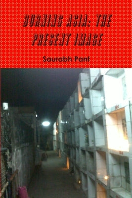 Burning Asia: The Present Image by Pant, Saurabh