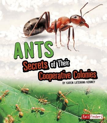 Ants: Secrets of Their Cooperative Colonies by Kenney, Karen Latchana