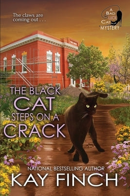 The Black Cat Steps on a Crack by Finch, Kay
