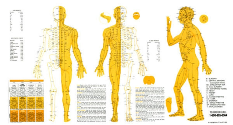 Touch for Health Meridian Chart: Acupuncture Meridian Chart by Thie, John