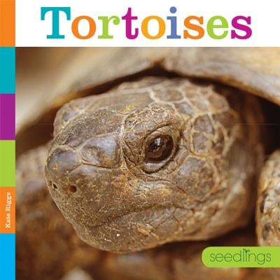 Tortoises by Riggs, Kate