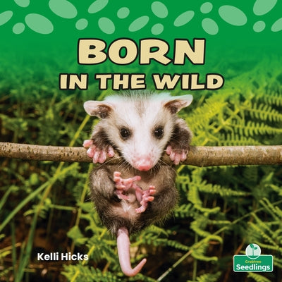 Born in the Wild by Hicks, Kelli