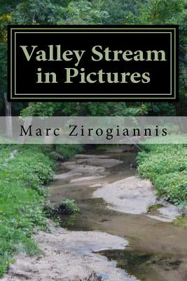 Valley Stream in Pictures: Summer Edition by Zirogiannis, Marc A.