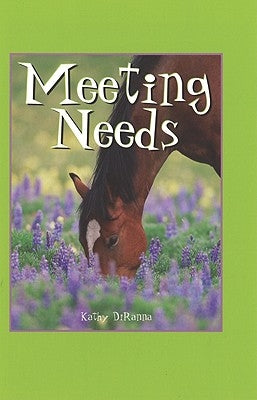 Meeting Needs by DiRanna, Kathy