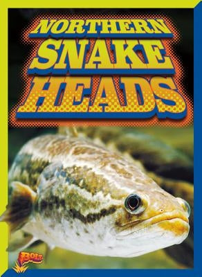 Northern Snake Heads by Ciletti, Barbara