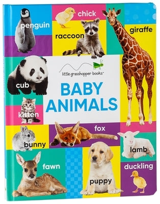 Baby Animals (Large Padded Board Book & Downloadable App!) by Little Grasshopper Books