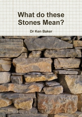 What do these Stones Mean? by Baker, Ken