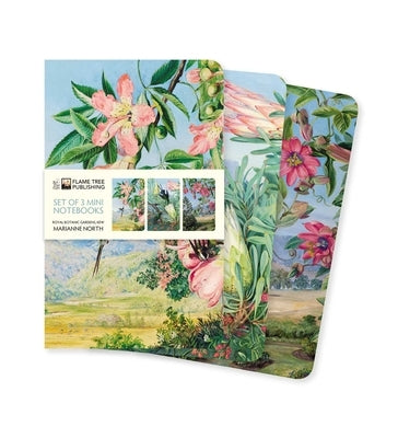 Kew Gardens' Marianne North Set of 3 Mini Notebooks by Flame Tree Studio