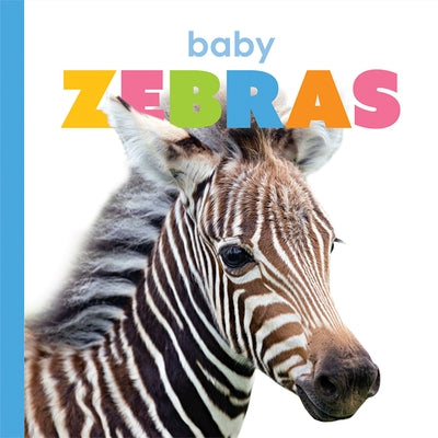 Baby Zebras by Riggs, Kate
