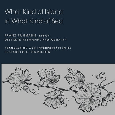 What Kind of Island in What Kind of Sea? by Fühmann, Franz