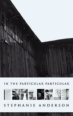 In the Particular Particular by Anderson, Stephanie