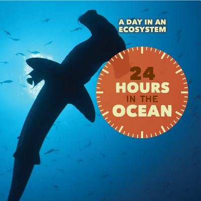 24 Hours in the Ocean by Sullivan, Laura
