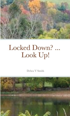 Locked Down? ... Look Up! by Smith, Debra V.