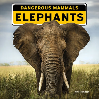 Elephants by Thompson, Kim