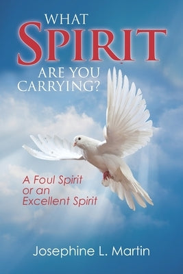 What Spirit are You Carrying? A Foul Spirit or an Excellent Spirit by Martin, Josephine L.