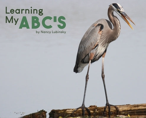 Learning My ABC's by Lubinsky, Nancy