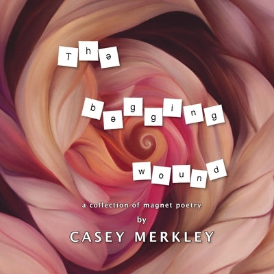 The Begging Wound by Merkley, Casey