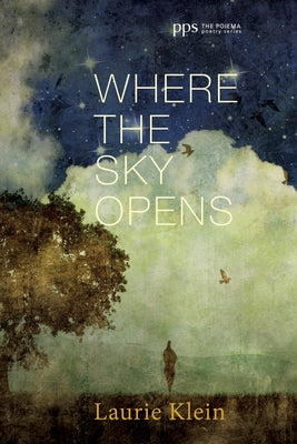 Where the Sky Opens by Klein, Laurie