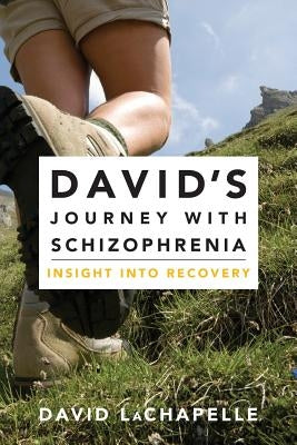 David's Journey with Schizophrenia: Insight into Recovery by LaChapelle, David