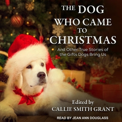 The Dog Who Came to Christmas: And Other True Stories of the Gifts Dogs Bring Us by Grant, Callie Smith