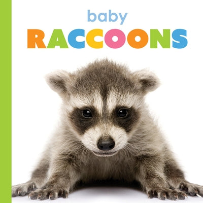 Baby Raccoons by Thompson, Kim
