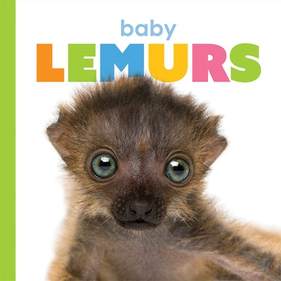 Baby Lemurs by Riggs, Kate