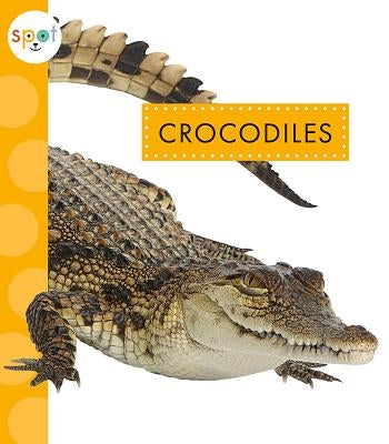 Crocodiles by Klukow, Mary Ellen