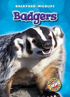 Badgers by Fleming, Dana
