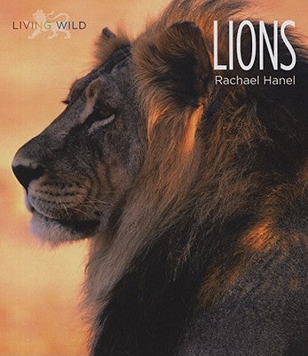 Lions by Hanel, Rachael