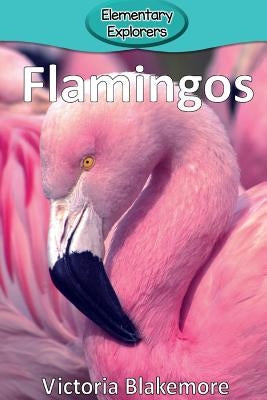Flamingos by Blakemore, Victoria