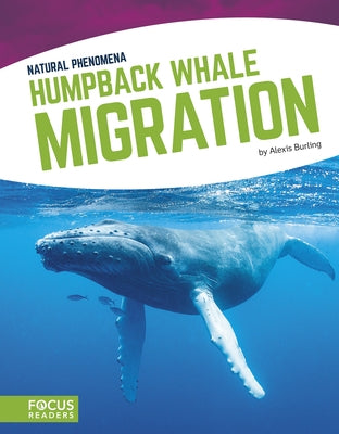 Humpback Whale Migration by Burling, Alexis
