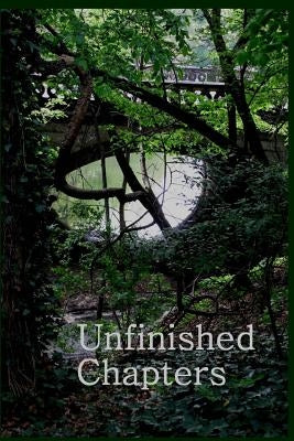 Unfinished Chapters by McClure, Debbie