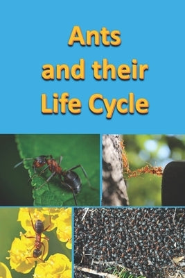 Ants and their Life Cycle by Linville, Rich