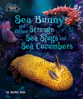 Sea Bunny and Other Strange Sea Slugs and Sea Cucumbers by Rose, Rachel
