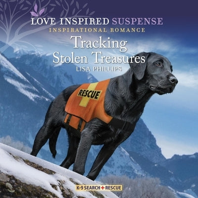 Tracking Stolen Treasures by Phillips, Lisa