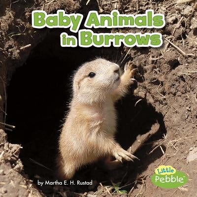 Baby Animals in Burrows by Rustad, Martha E. H.