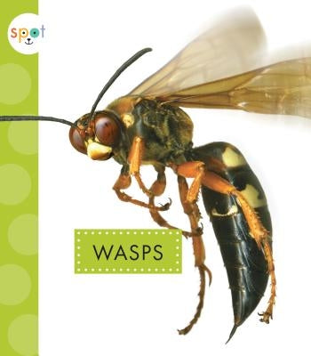 Wasps by Black, Nessa