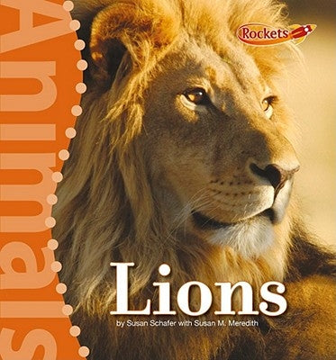 Lions by Schafer, Susan