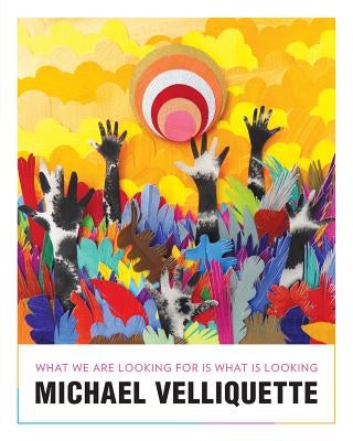 Michael Velliquette: What We Are Looking For is What is Looking by Velliquette, Michael