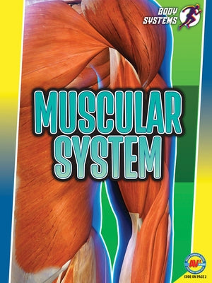 Muscular System by Rose, Simon