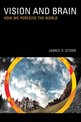 Vision: How We Perceive the World by Stone, James V.