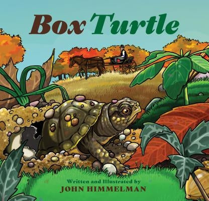 Box Turtle by Himmelman, John