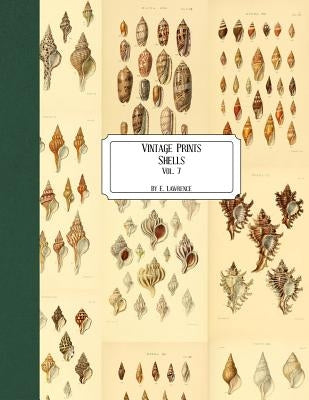 Vintage Prints: Shells: Vol. 7 by Lawrence, E.