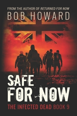 Safe for Now by Howard, Bob