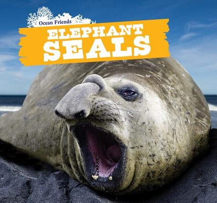 Elephant Seals by Dessen, Maci