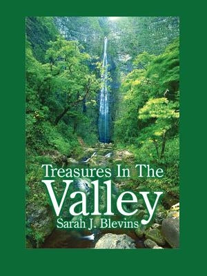 Treasures in the Valley by Blevins, Sarah J.