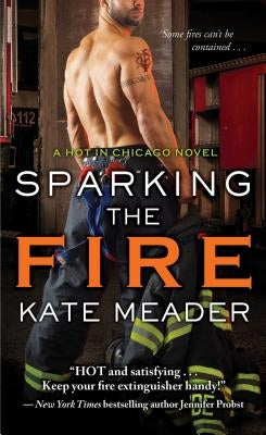 Sparking the Fire by Meader, Kate
