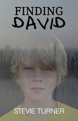Finding David: A Paranormal Short Story by Turner, Stevie